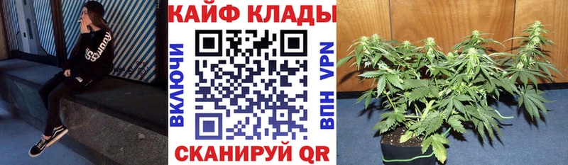 Все наркотики Новоаннинский Галлюциногенные грибы Меф мяу мяу ОМГ ОМГ зеркало СК Гашиш Марихуана Cocaine