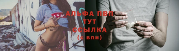 тгк Алексин