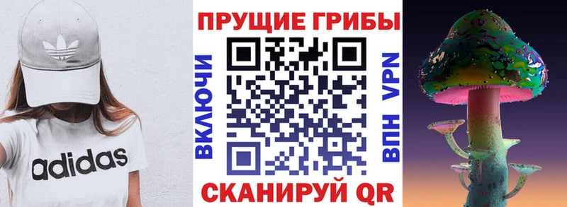 ссылка на мегу сайт  Новоаннинский  Галлюциногенные грибы Magic Shrooms  купить наркотики сайты 